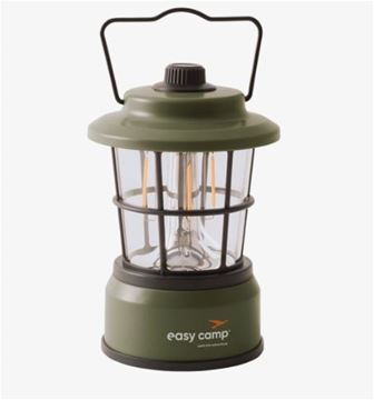 Picture of STARFLOWER AA LANTERN